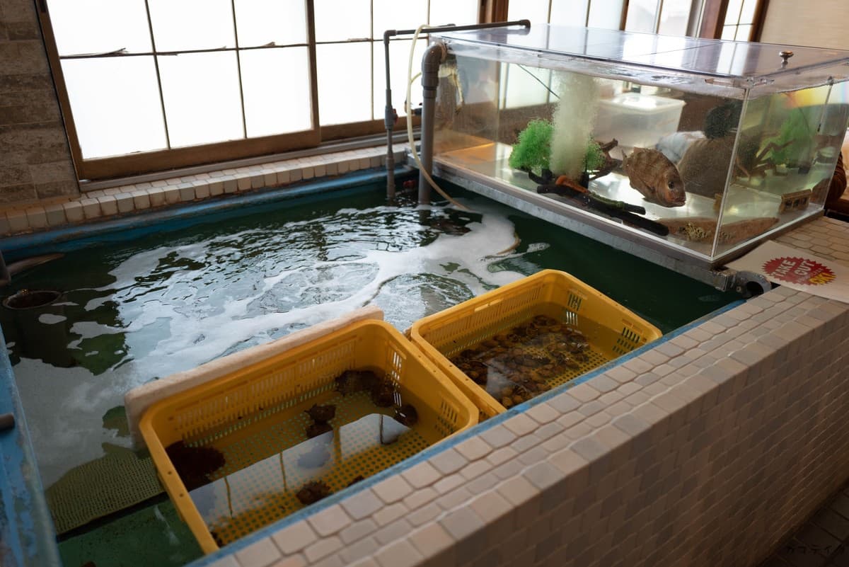 和食・鮮魚 うしお 蒲郡テイクアウト情報サイト【ガマテイク】 